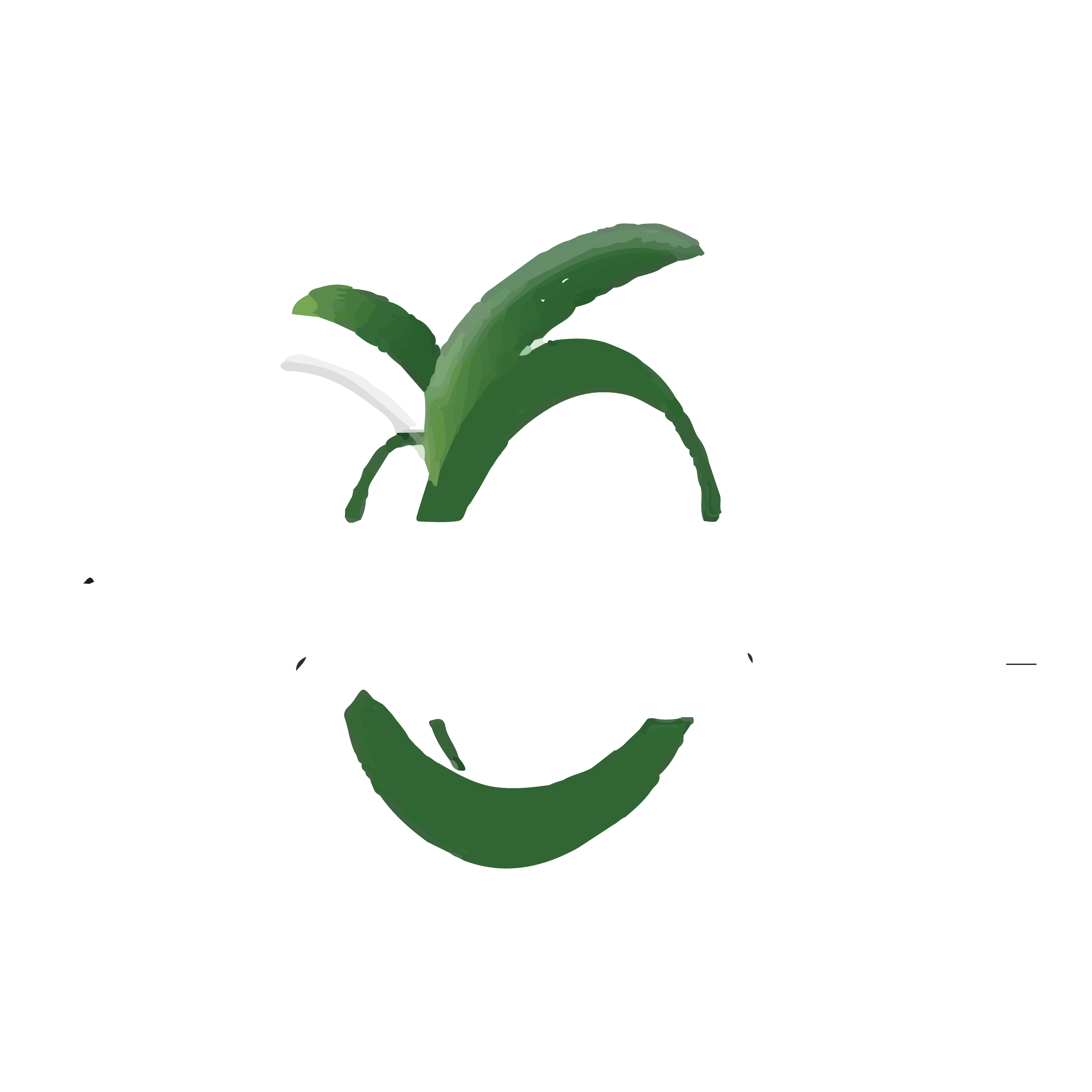 Partner